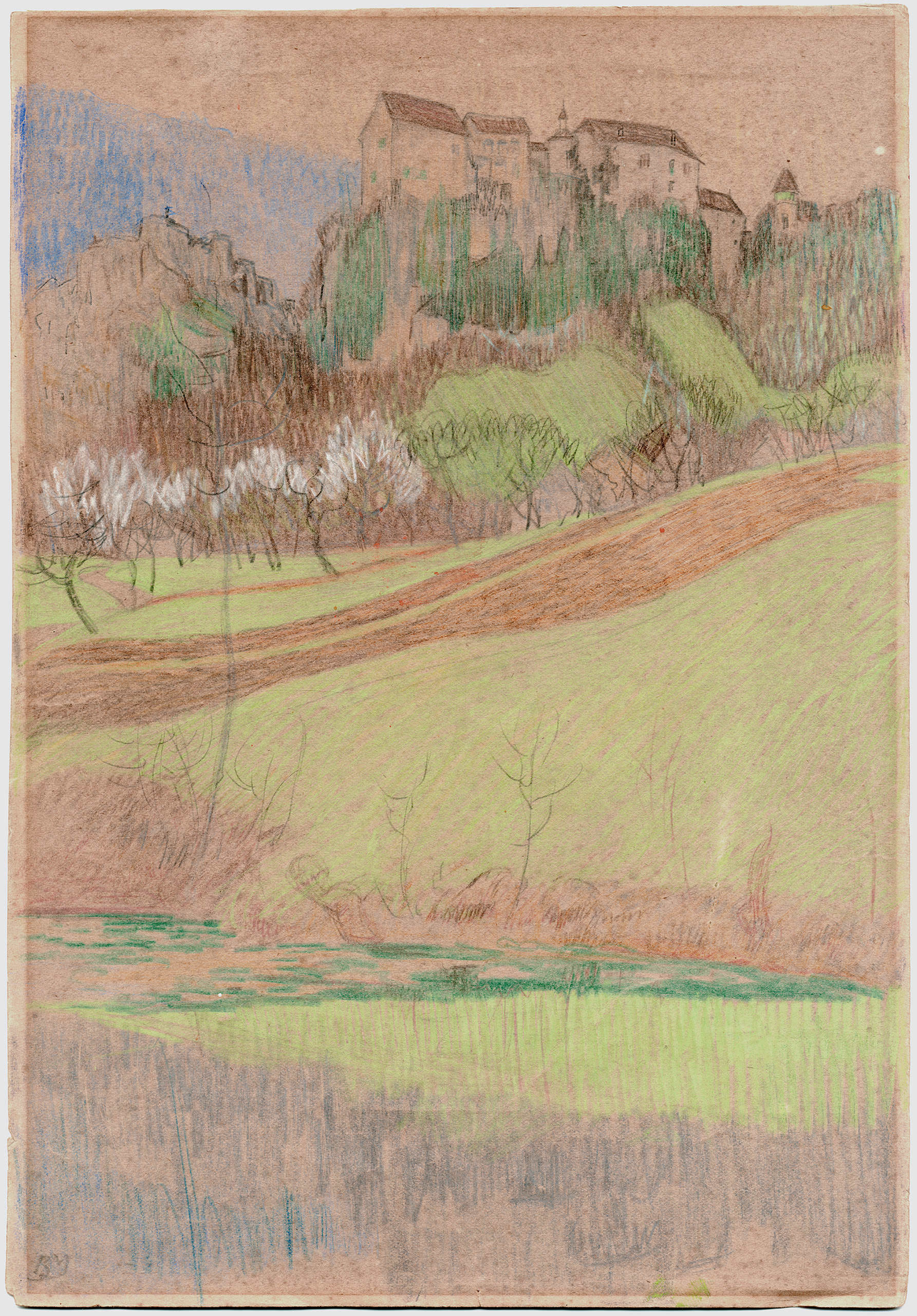 E17644 BU26 DMPBL Mangold